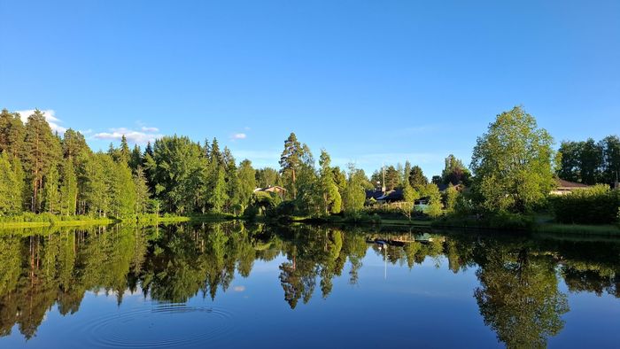 Pirkkalan juhannus Seiväslammella ypöyksin 22.6.24